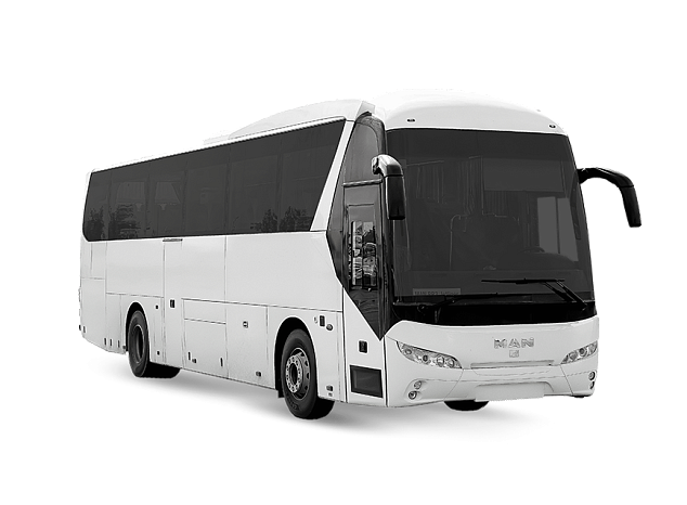 Автобус MAN RR2 Diesel (Jetliner)